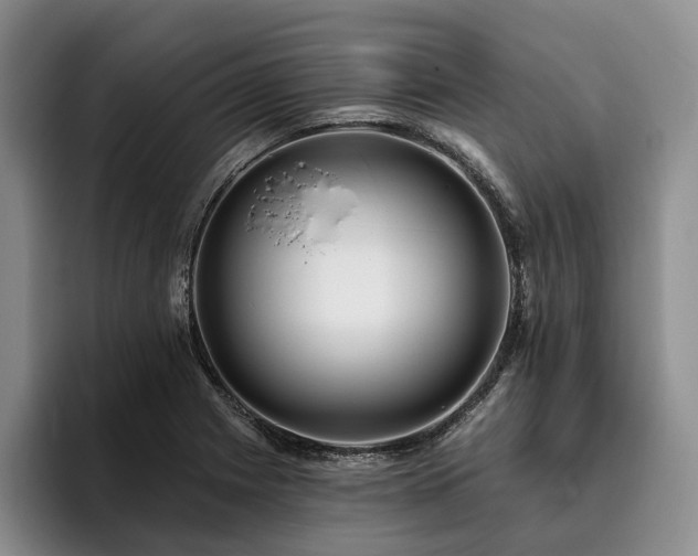 X0000096131225200801181106