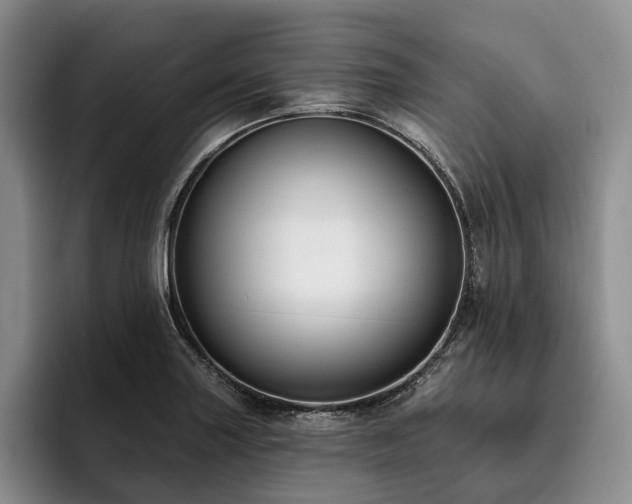 X0000096131227200801181106