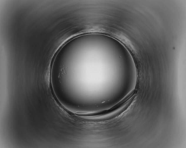 X0000096131228200801181106