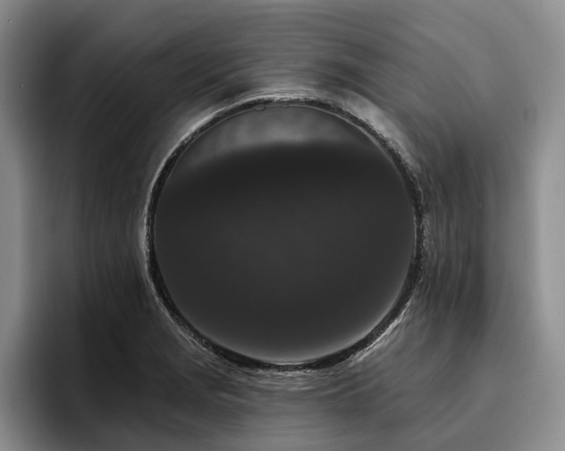 X0000096131229200801181106