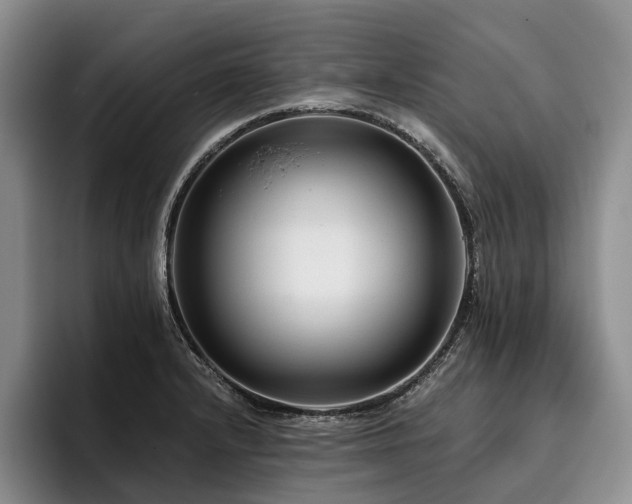 X0000096131232200801181106