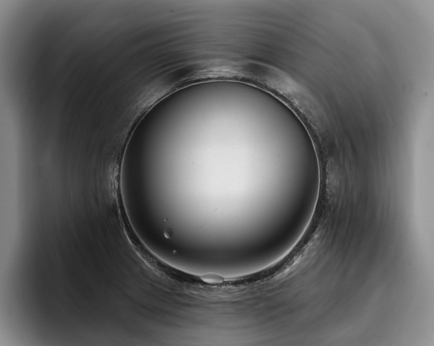 X0000096131233200801181106