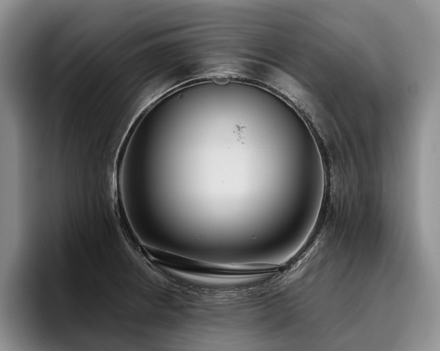 X0000096131234200801181106