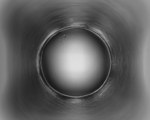 X0000096131235200801181106