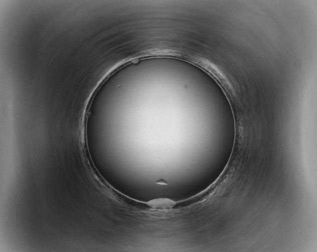 X0000096131236200801181106
