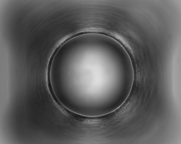 X0000096131237200801181106