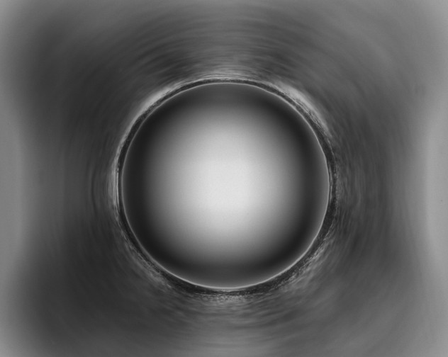 X0000096131238200801181106