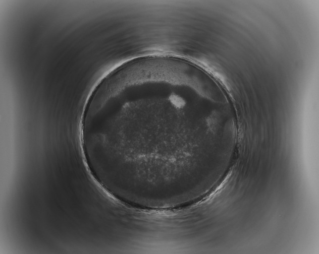 X0000096131239200801181106