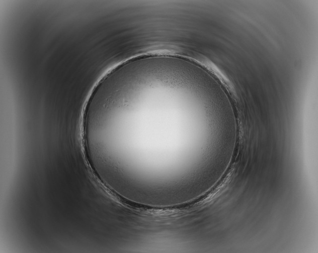 X0000096131240200801181106