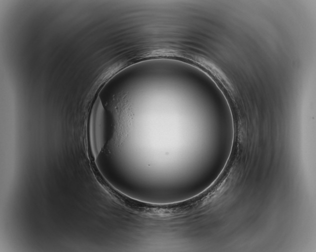 X0000096131241200801181106