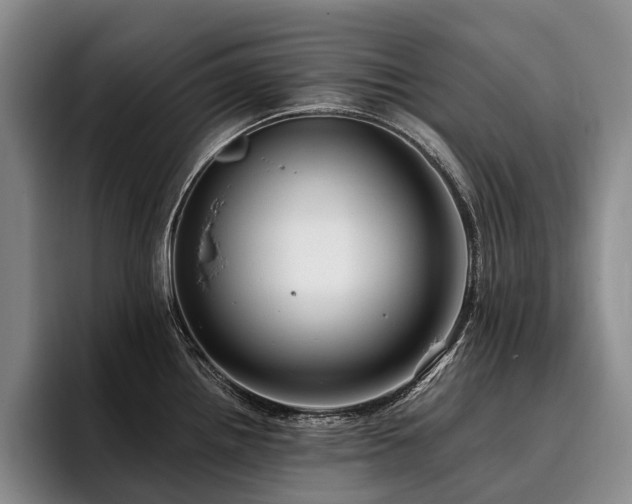 X0000096131242200801181106