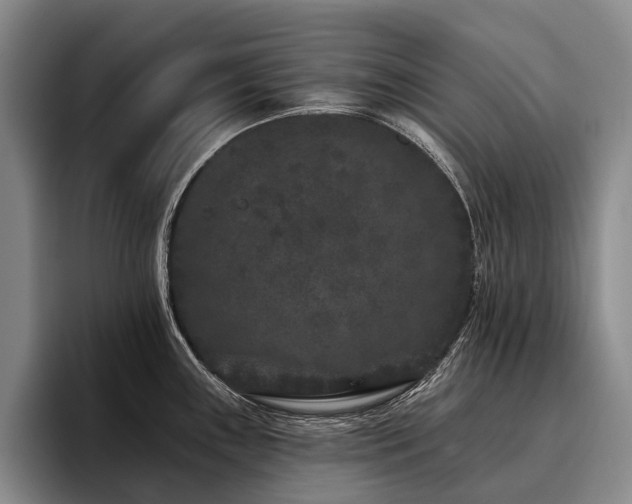 X0000096131243200801181106