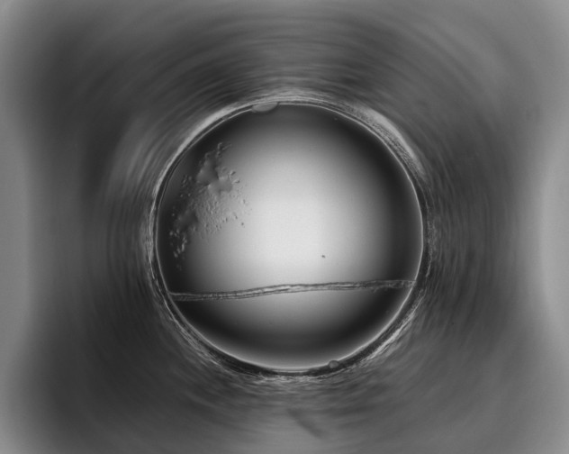 X0000096131244200801181106