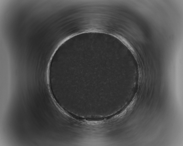 X0000096131246200801181106