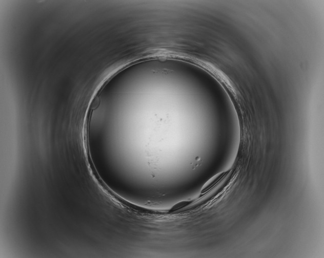 X0000096131247200801181106