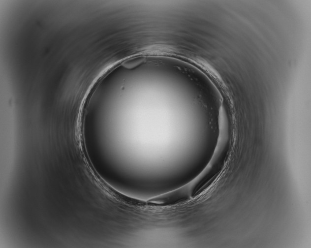 X0000096131248200801181106