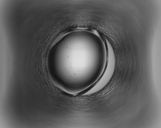 X0000096131249200801181106