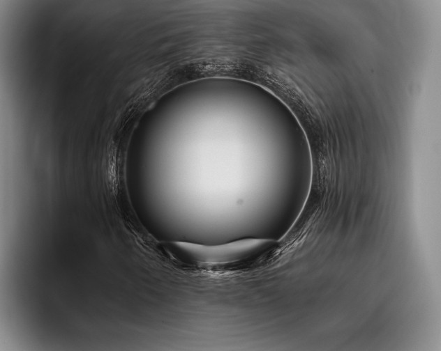 X0000096131250200801181106