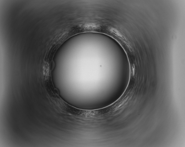 X0000096131251200801181106