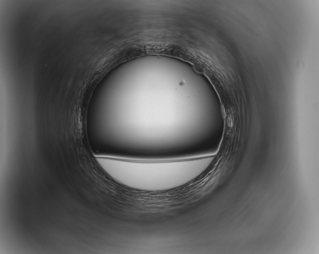X0000096131252200801181106