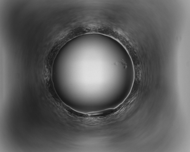X0000096131253200801181106