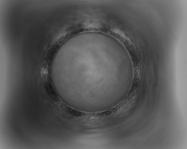 X0000096131254200801181106