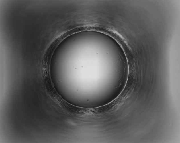 X0000096131255200801181106