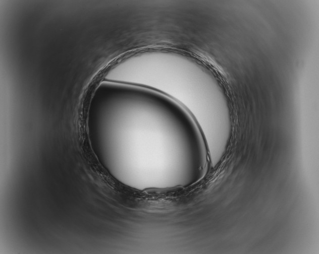 X0000096131256200801181106