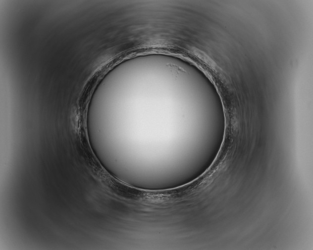 X0000096131258200801181105