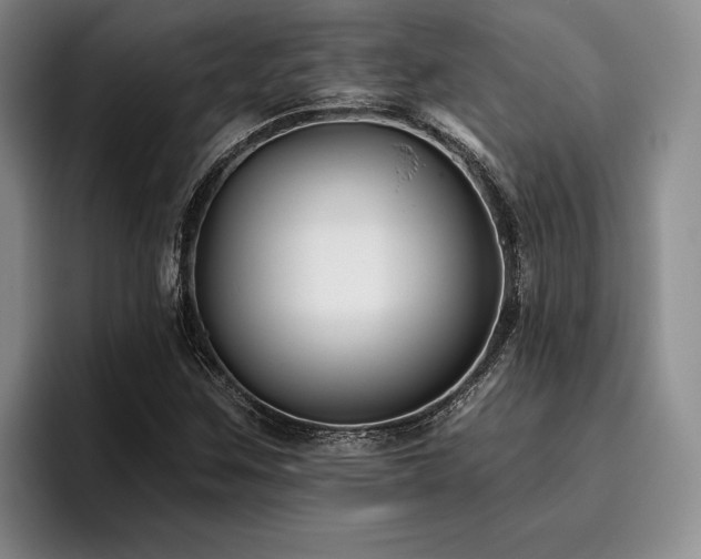 X0000096131259200801181105