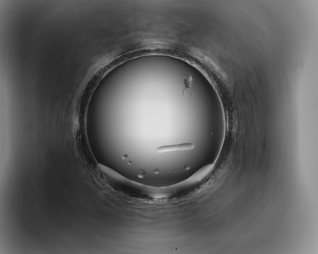 X0000096131261200801181105
