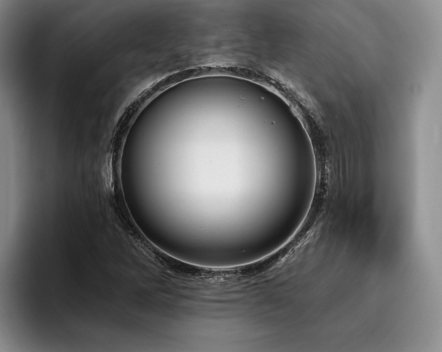 X0000096131262200801181105