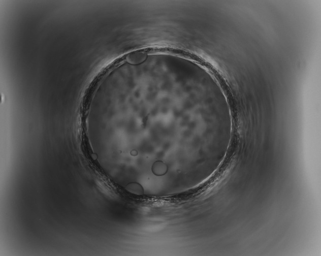 X0000096131263200801181105