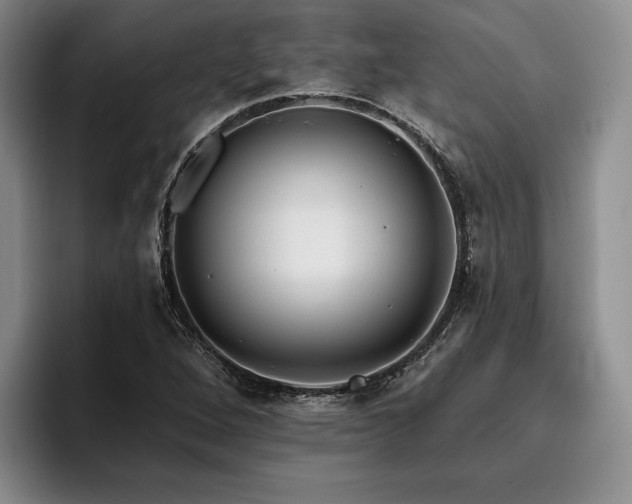 X0000096131264200801181105