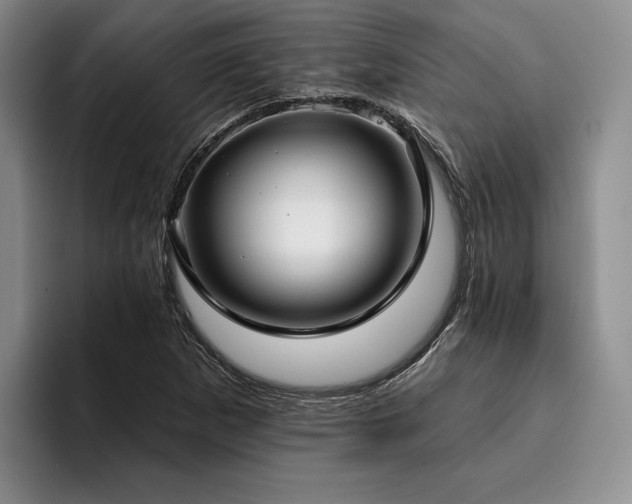 X0000096131265200801181105
