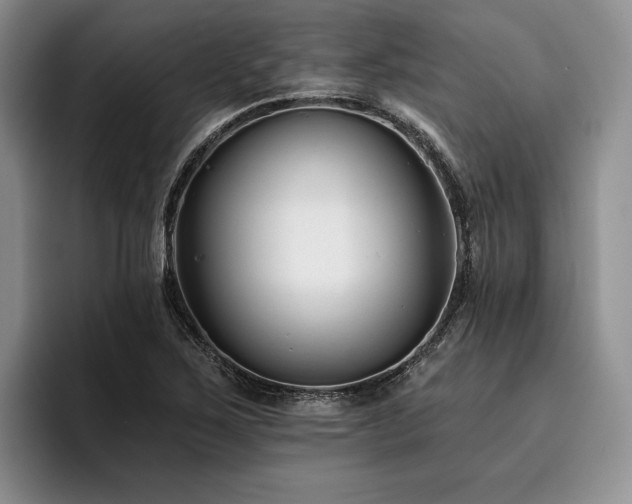 X0000096131267200801181105