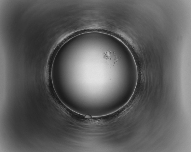 X0000096131270200801181105