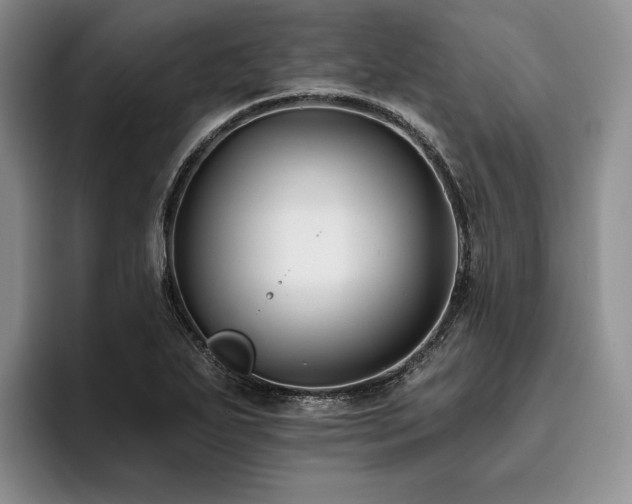 X0000096131271200801181105