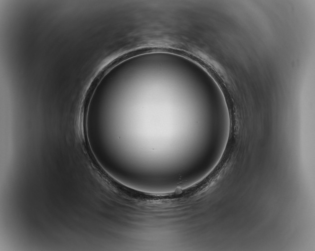 X0000096131272200801181105