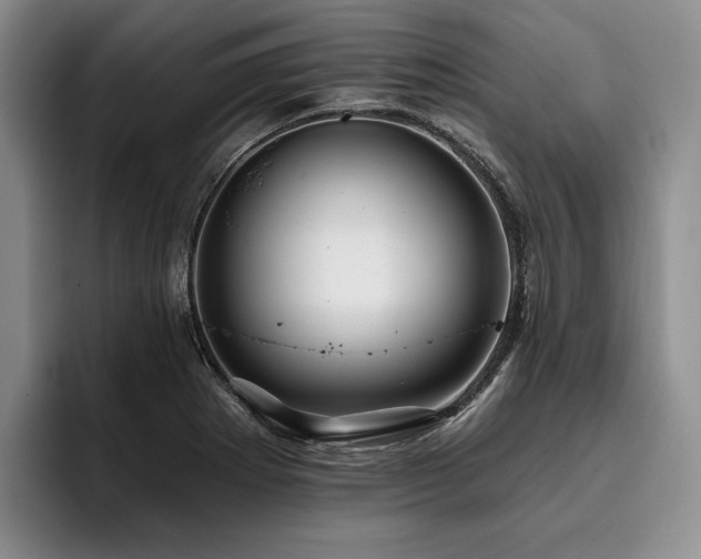 X0000096131273200801181105