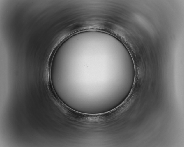 X0000096131274200801181105