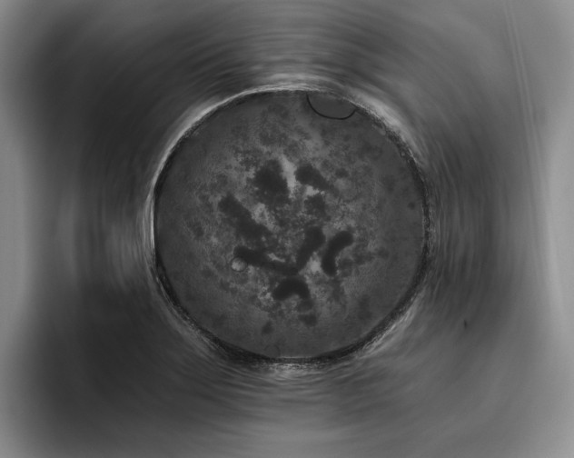 X0000096131275200801181105