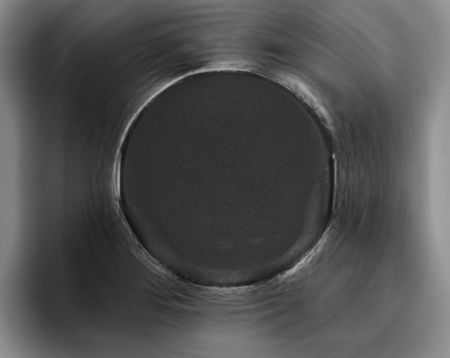 X0000096131276200801181105