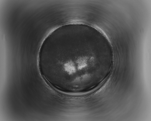 X0000096131277200801181105