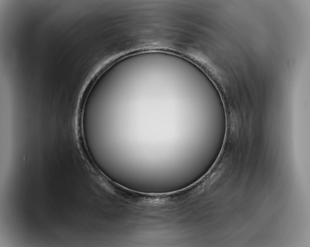 X0000096131278200801181105