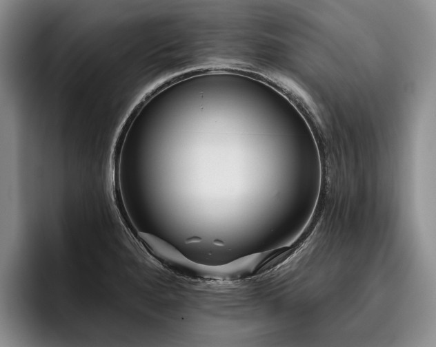 X0000096131280200801181105