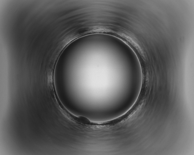 X0000096131281200801181105
