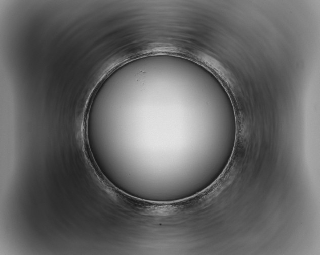 X0000096131282200801181105