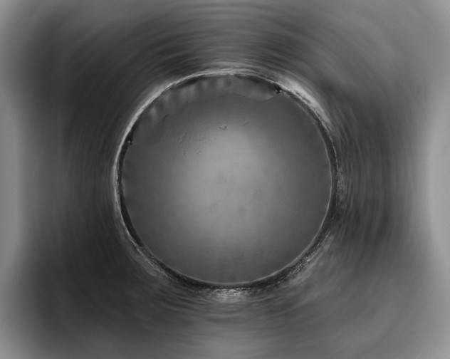X0000096131283200801181105