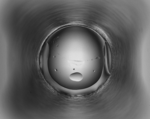 X0000096131284200801181105